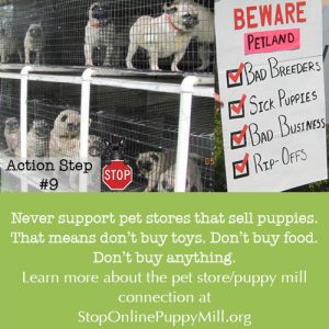 Stop Online Puppy Mills Action Steps