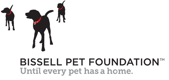 Bissell Pet Foundation Until Every Pet Has a Home