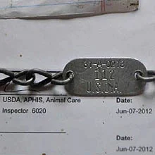 usda-dog-tag USDA Dog Breeders