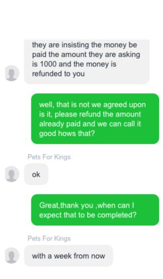 Pets For Kings Bulldog Puppies For Sale