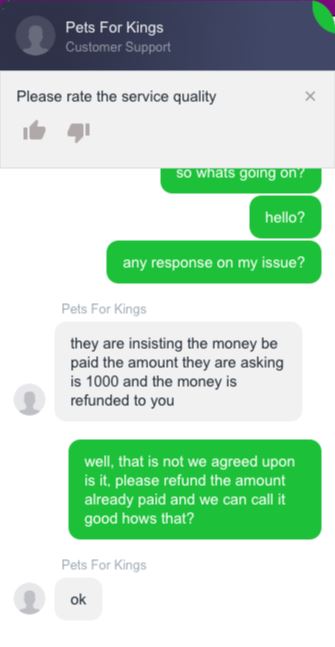 Pets For King Bulldogs For Sale