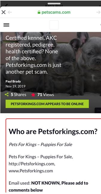 Pets For Kings Bulldogs Puppies For Sale