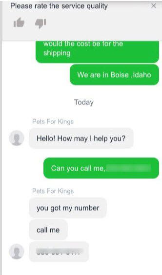 Pets For Kings Puppies For Sale