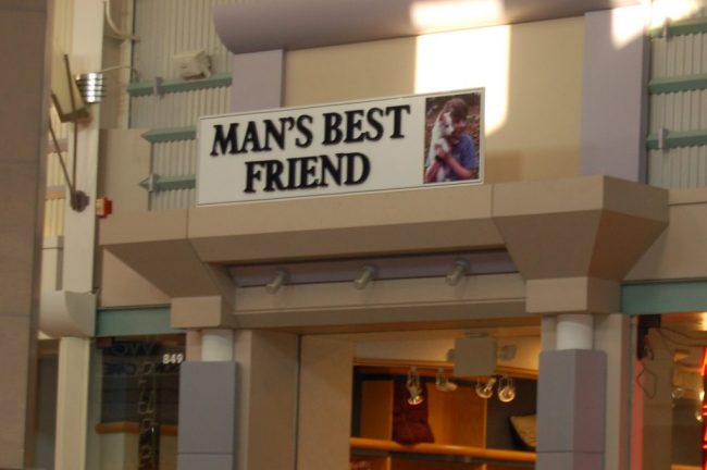 Pet store that sells puppies