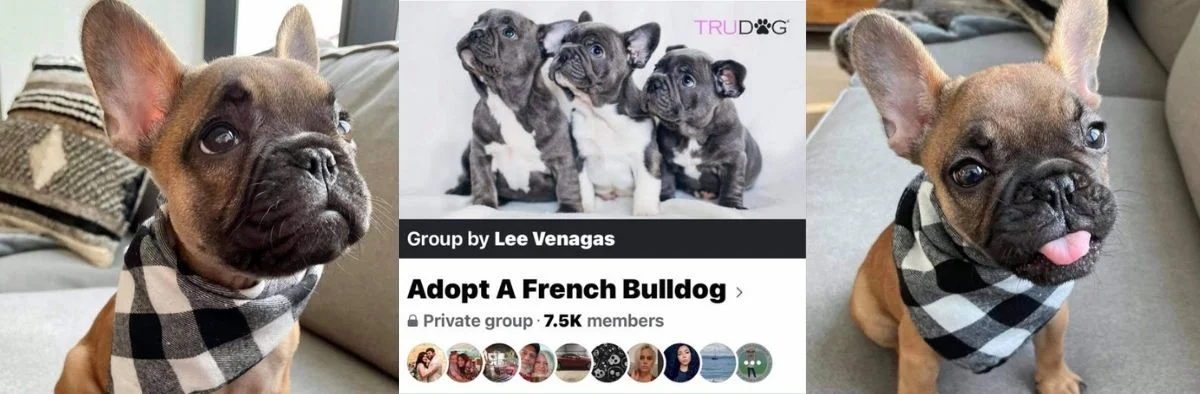 Facebook Puppy Scam