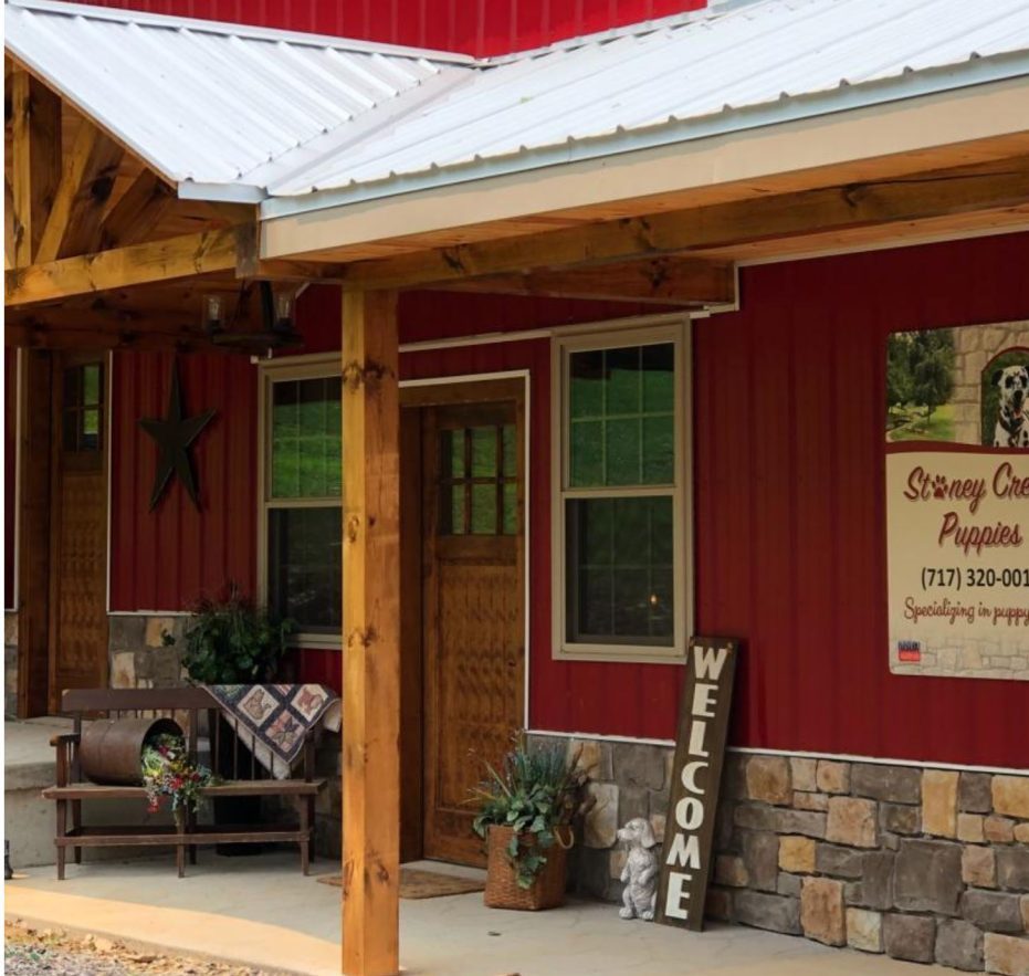 Lancaster Puppies Puppy Broker Stop Online Puppy Mills