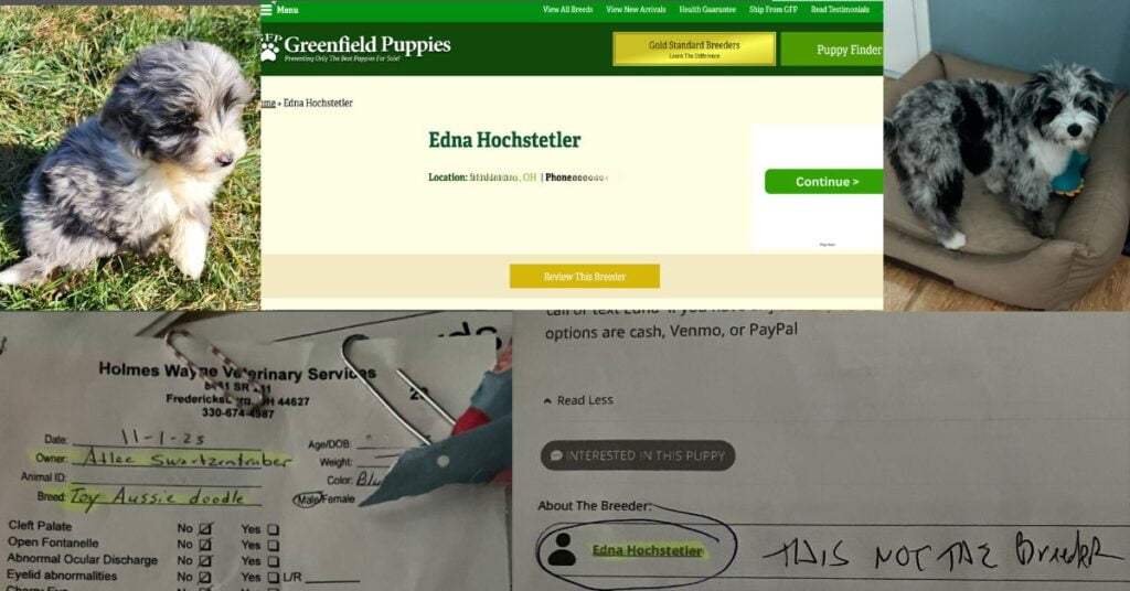 I unwittingly stumbled into a nightmare of deceit when buying my puppy on GreenfieldPuppies.com