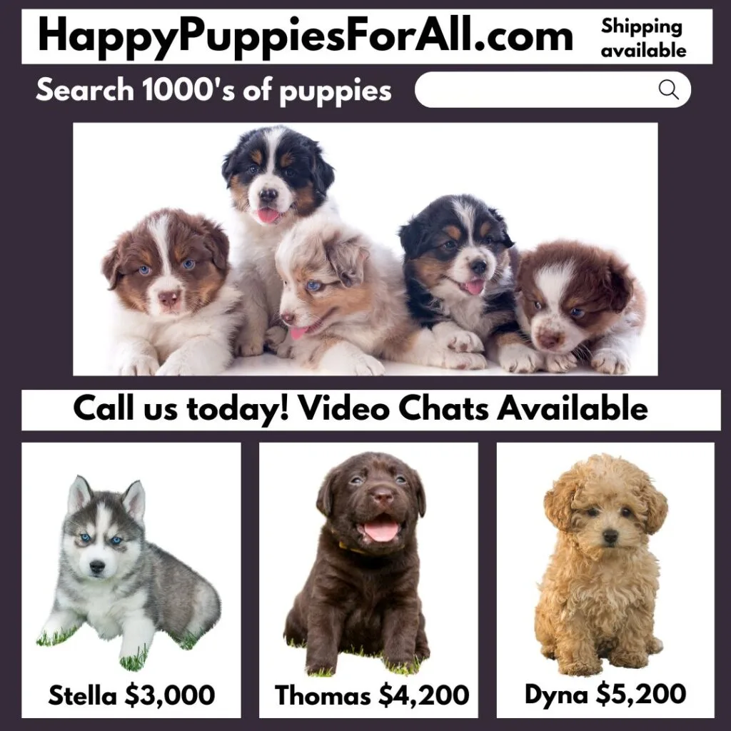 Happy Puppies for All