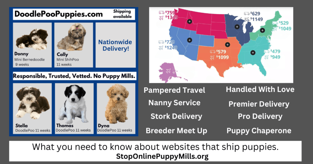 Many puppy-selling websites and breeder platforms now advertise delivery via plane, commercial transport, “puppy nannies,” or even parking lot meet-ups. While this may sound convenient, it raises serious concerns about animal welfare, transparency, and the origin of the puppy.