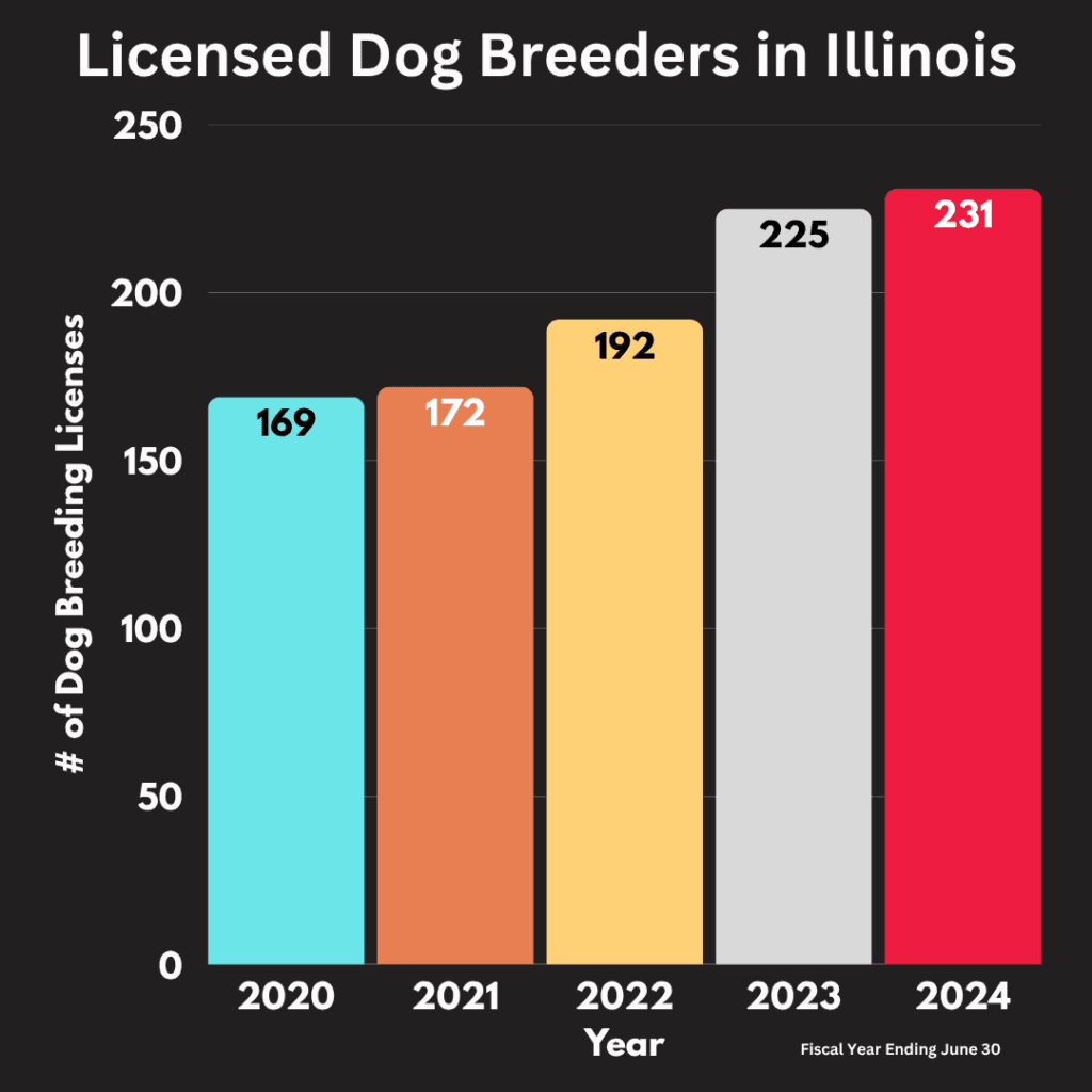 Licensed Dog Breeders in Illinois