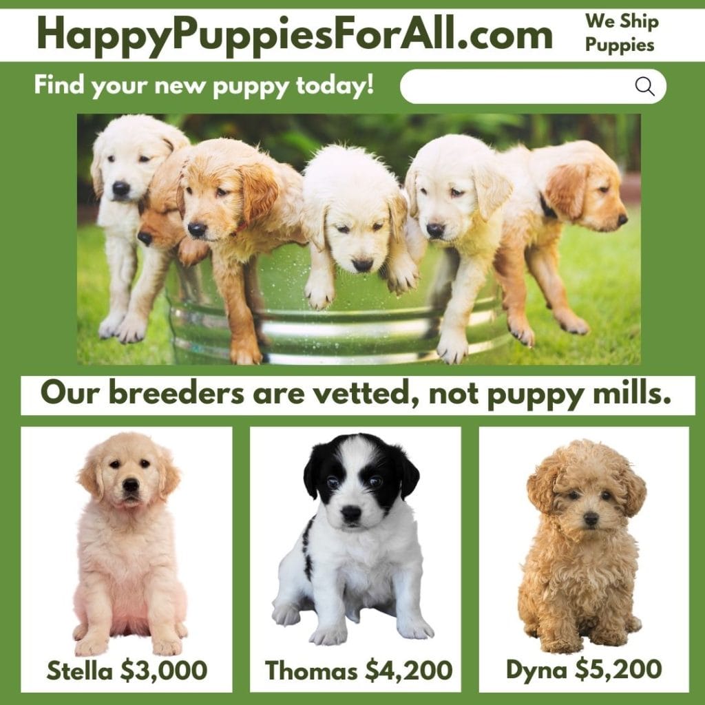 Happy Puppies For All