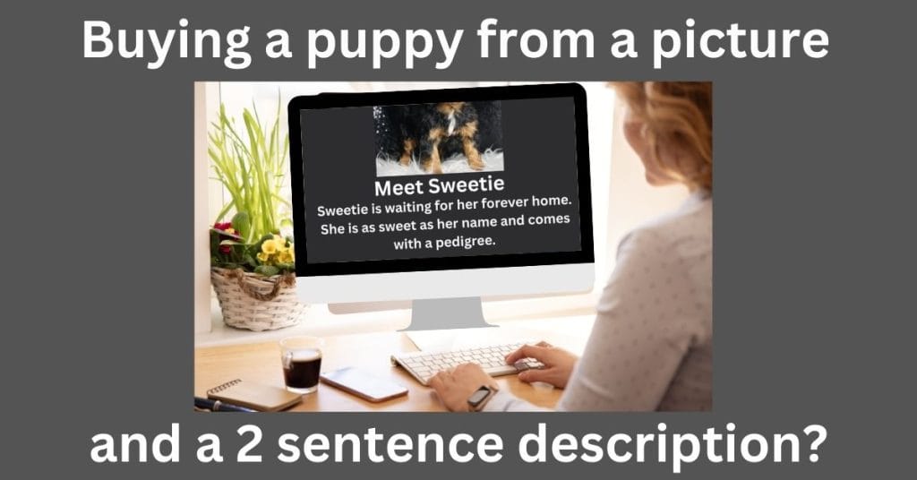 You’re scrolling through your phone when it happens—an adorable puppy pops up on your feed. Those eyes. That face. The breed you’ve always wanted, just a click away. It feels easy, safe, and modern. But behind that “Buy Now” button is an industry built on suffering that no filter or photo can hide.