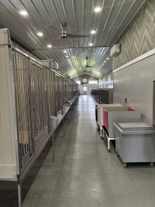 Rows of stainless-steel kennels inside a large commercial dog breeding facility — look up a licensed commercial dog breeder before you buy
