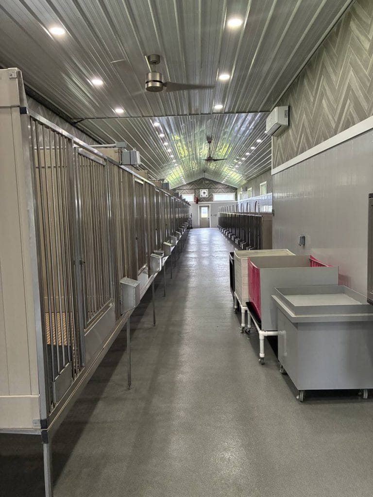 Rows of stainless-steel kennels inside a large commercial dog breeding facility — look up a licensed commercial dog breeder before you buy