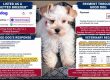 Puppy Purchased on Good Dog