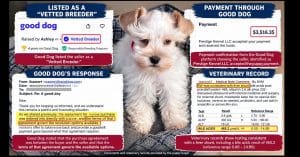 Puppy Purchased on Good Dog