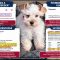 Puppy Purchased on Good Dog